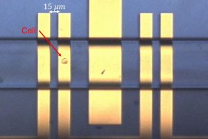 Sensing and actuation electrodes in a microfluidic channel